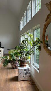 WE’RE BAAAACK!✨Save the date for November 15 for an estate sale you won’t want to miss in Cumberland Foreside. Details and item photos to come - sign up for our newsletter using the link in bio for insider updates! 
#vintage #maine #foresideantiques #antique #estate #estatesale #maineestatesale #mainevintage #maineantiques #homedecor #art